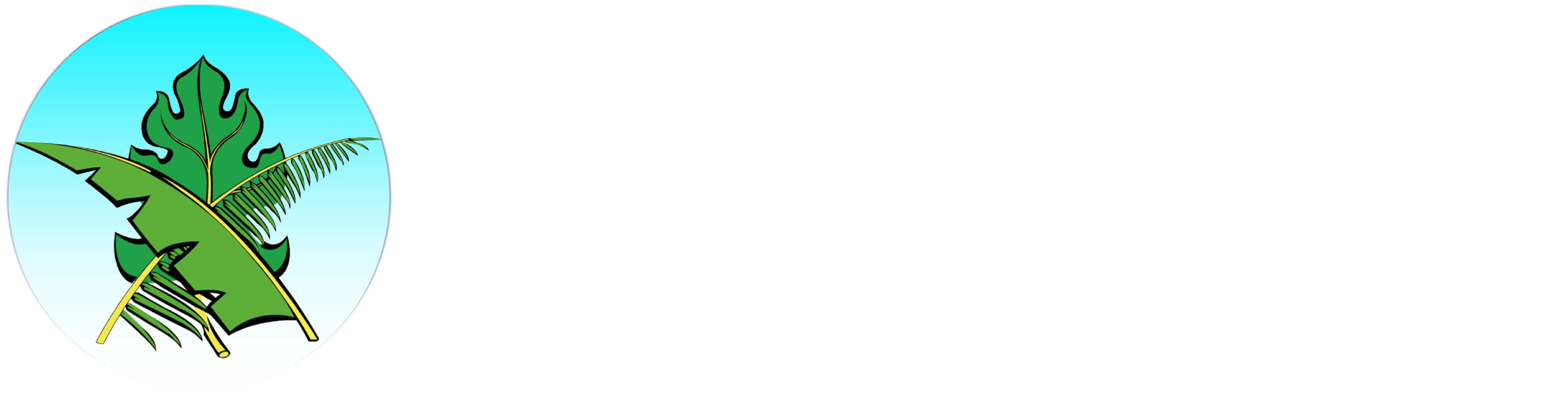 Logo Radio Paofai – Site internet (texte blanc)